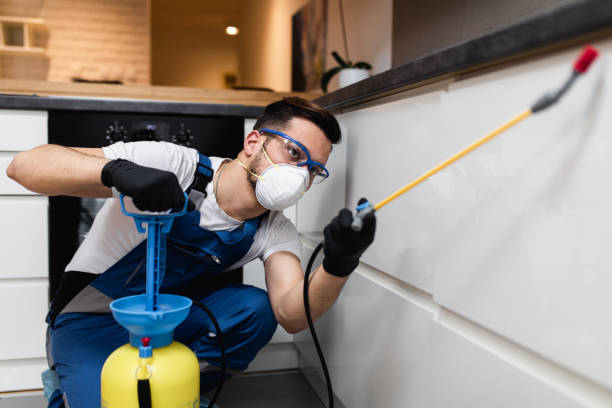 Flea Control Services in Park City, UT