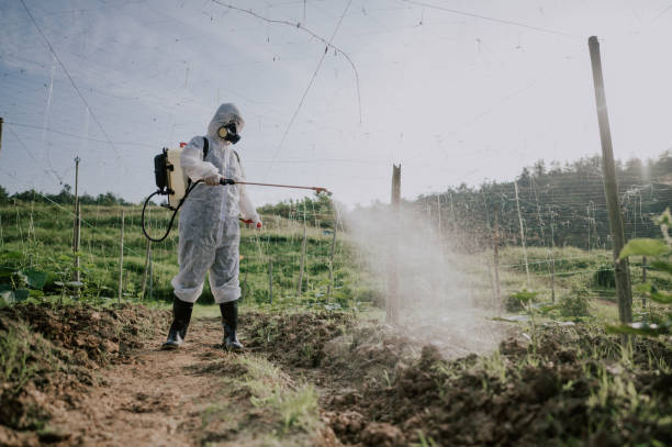 Pest Control Cost in Park City, UT