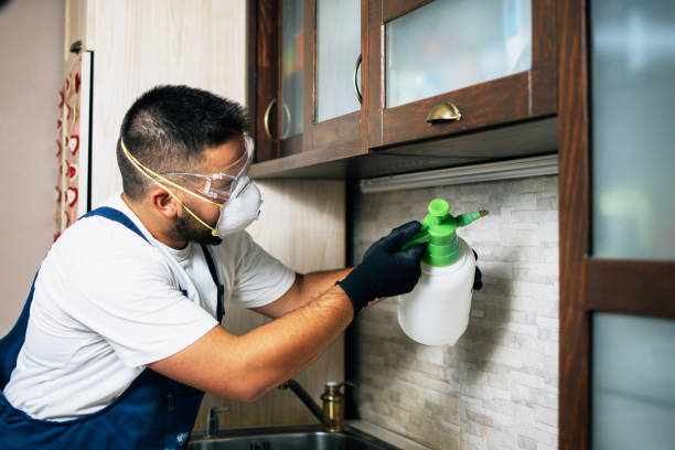 Best Pest Removal Services  in Park City, UT