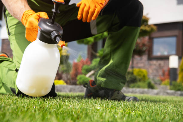Best Pest Control Near Me  in Park City, UT