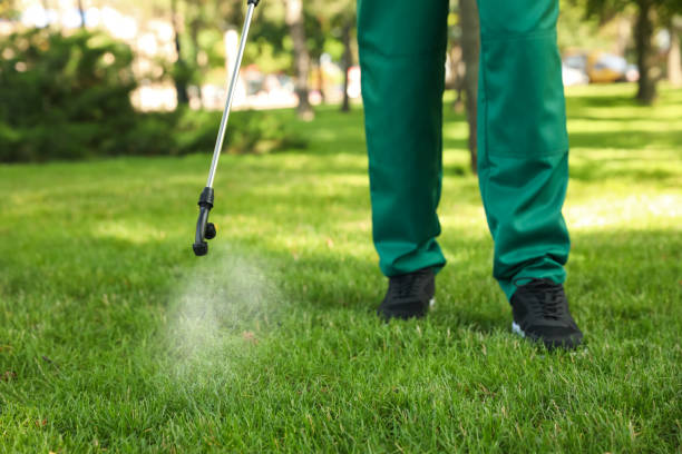 Best Ant Control Services  in Park City, UT
