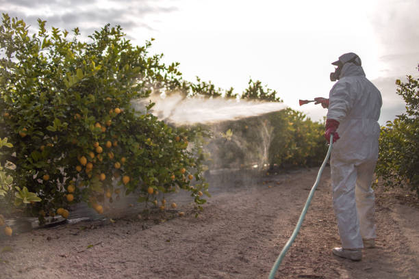 Best Commercial Pest Control Services  in Park City, UT