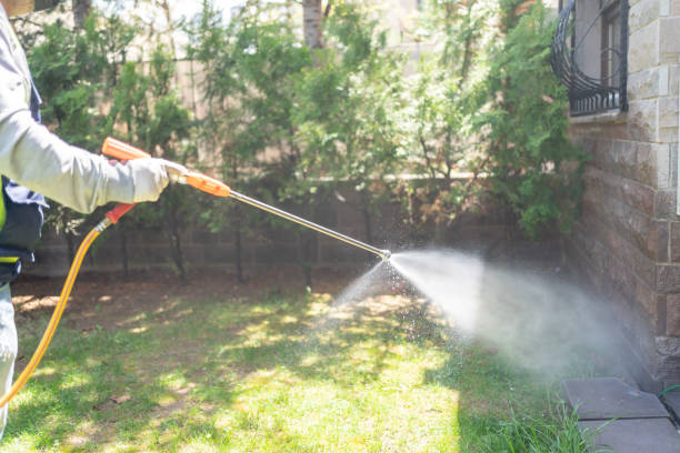 Best Emergency Pest Control  in Park City, UT