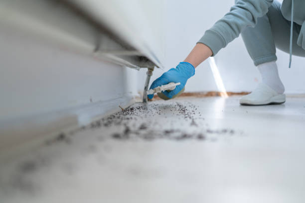Best Best Pest Control Companies  in Park City, UT